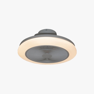 Morandi RGB Bluetooth Ceiling Fan with Light, DIA 19