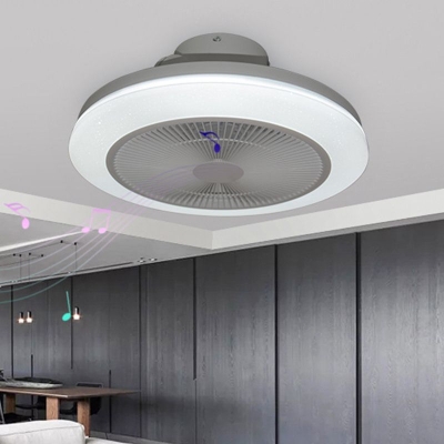 Morandi RGB Bluetooth Ceiling Fan with Light, DIA 19