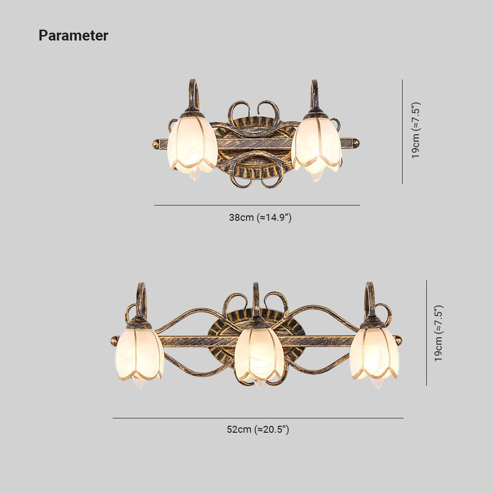 Félicie Antique Brass Flower Mirror Front Vanity Wall Lamp