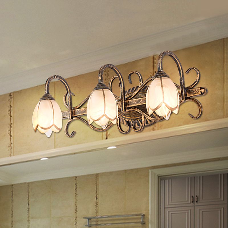 Félicie Antique Brass Flower Mirror Front Vanity Wall Lamp