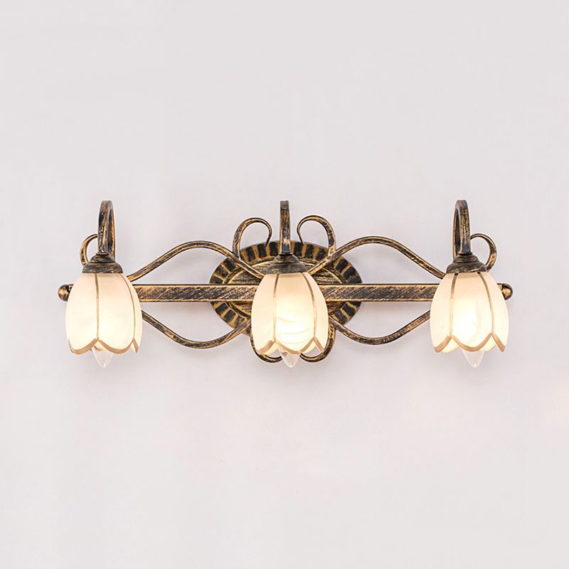 Félicie Antique Brass Flower Mirror Front Vanity Wall Lamp