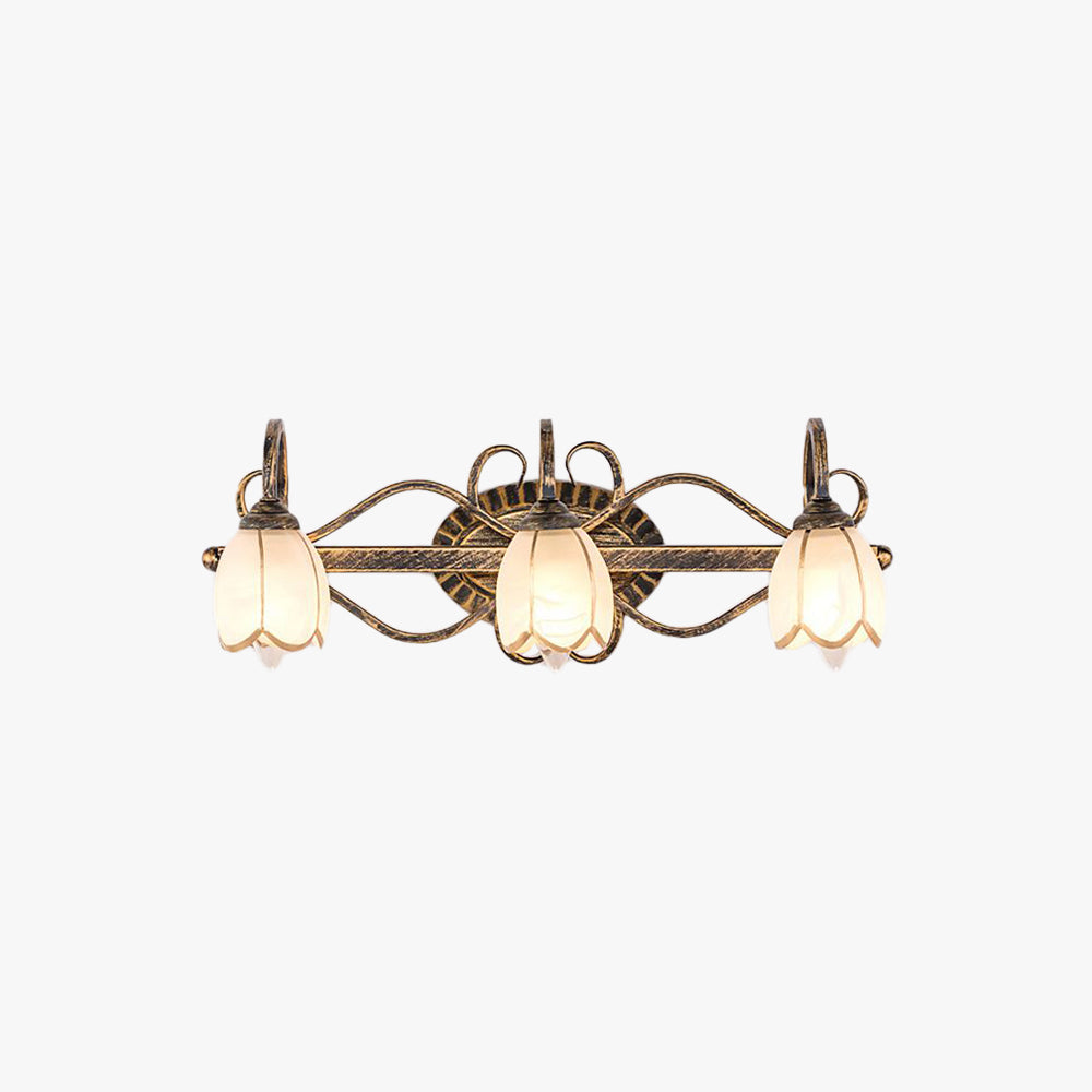 Félicie Antique Brass Flower Mirror Front Vanity Wall Lamp