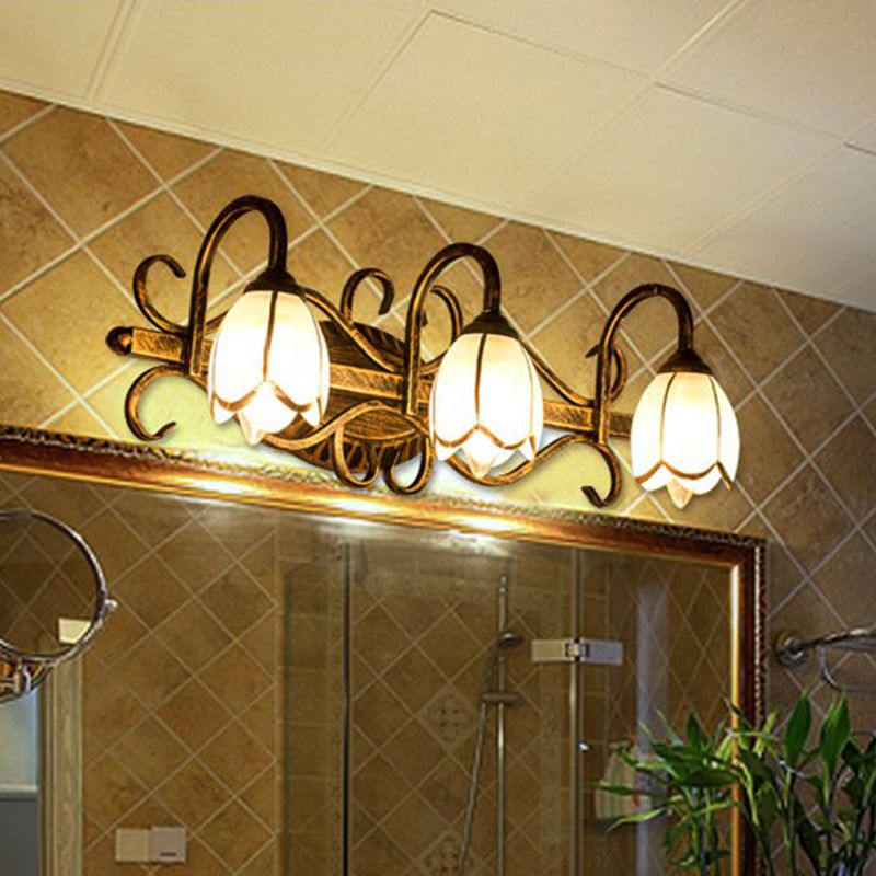 Félicie Antique Brass Flower Mirror Front Vanity Wall Lamp
