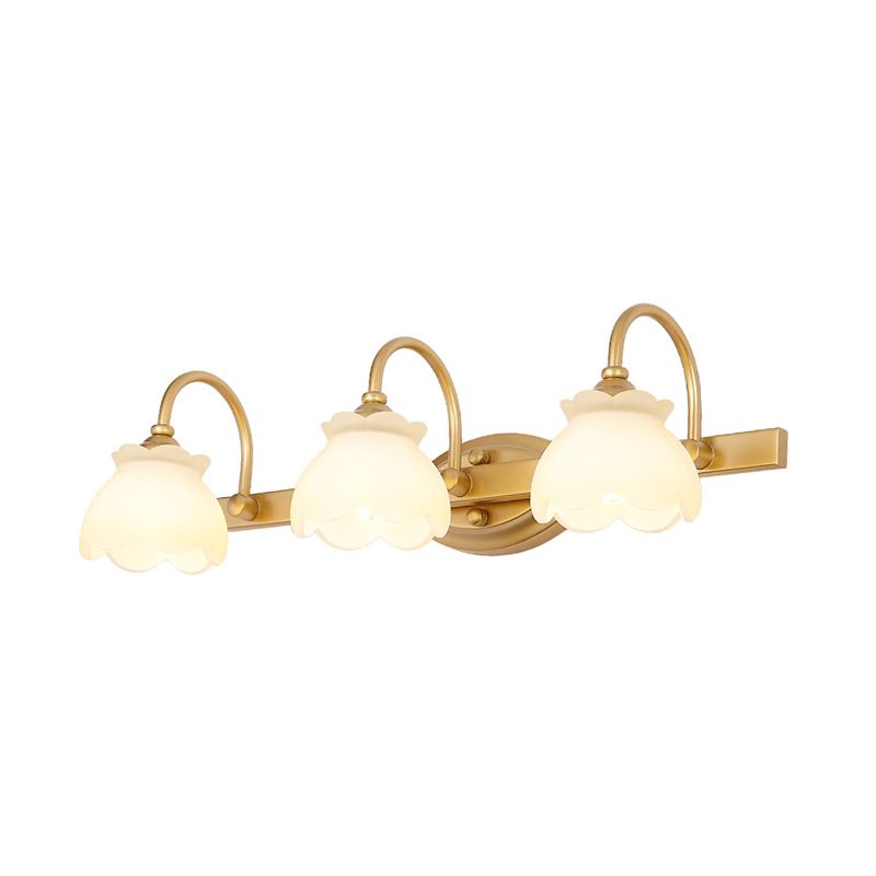 Lily Modern Flower Mirror Front Vanity Wall Lamp, Metal/Frosted Glass