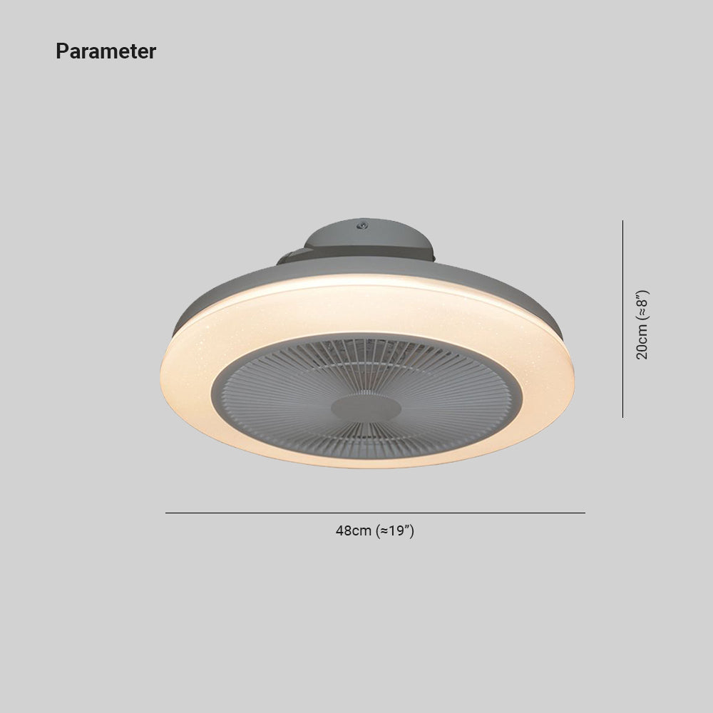 Morandi RGB Bluetooth Ceiling Fan with Light, DIA 19